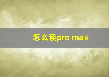 怎么读pro max